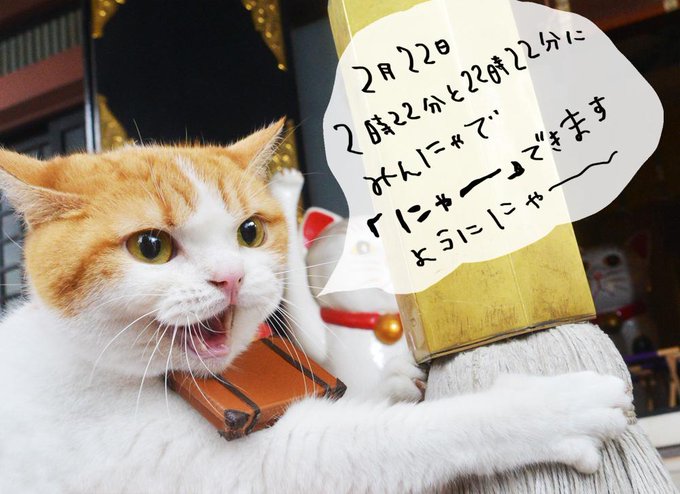 猫の日 にゃらん みんにゃに にゃー を呼びかける 画像 ハフポスト Life