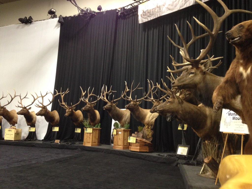 307_eric's tweet image. #tinesfordays #westernhuntingexpo #moneywellspent
