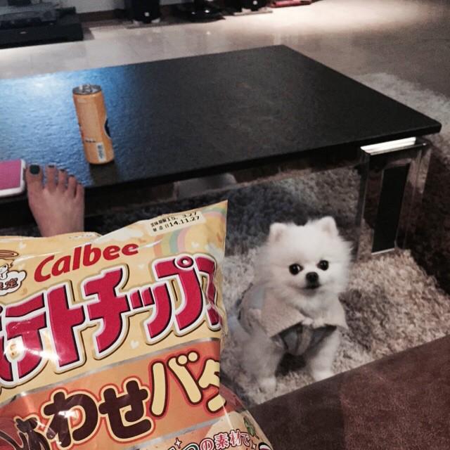 B-S9WIgIIAAbw6z.jpg:large