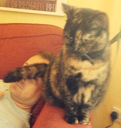 It's #LoveYourPetDay Share a pic of your pet and tell us why you love them so much! bit.ly/1F1MDC4