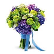 creaturocraig's tweet photo. http://t.co/dMdKkgnvPl
florist supplies http://t.co/4BZWszW3sZ