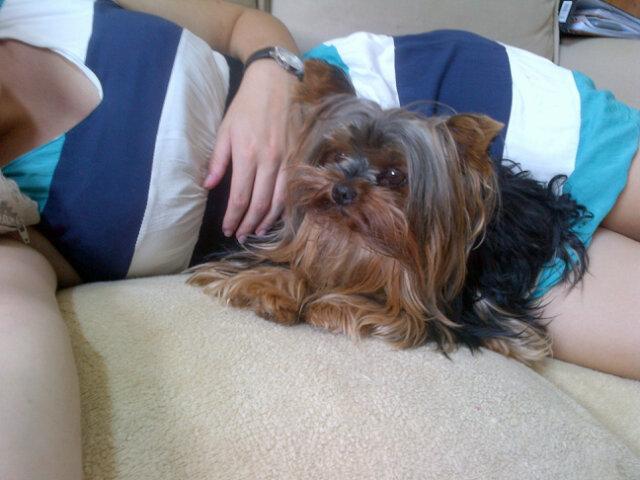 Little Tinky/Layla/Pumpum