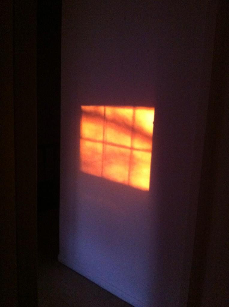 unique1809's tweet image. Yeah!!! Sun is out. #sunlightreflection ❤️