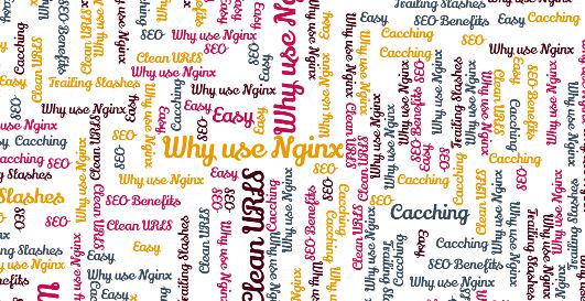 awsdeveloper's tweet image. Why should I jump on the @nginx train? paulmcgowan.ie/benefits-of-us…