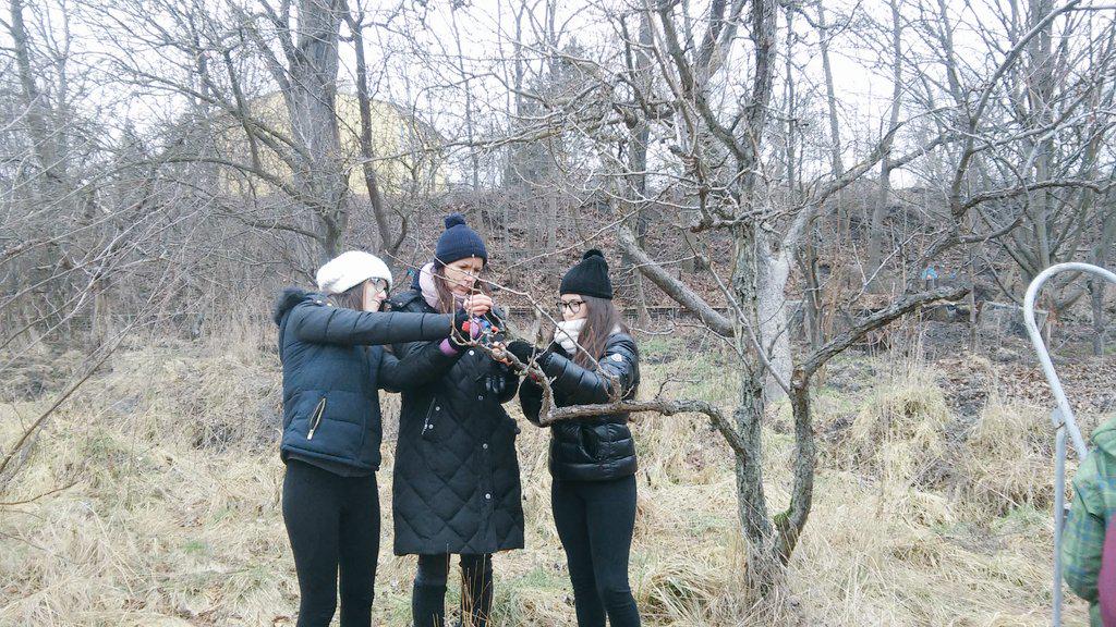 This morning we've been cooking,cutting trees,setting fire...😄 #Berlin #exchangeprogramme @FloridaSec