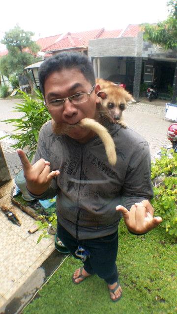 dewo_lubis's tweet photo. Gigit ekornya #akarjawa #semijinak #jawir #mulos #MLi http://t.co/rYRCMhUSy9