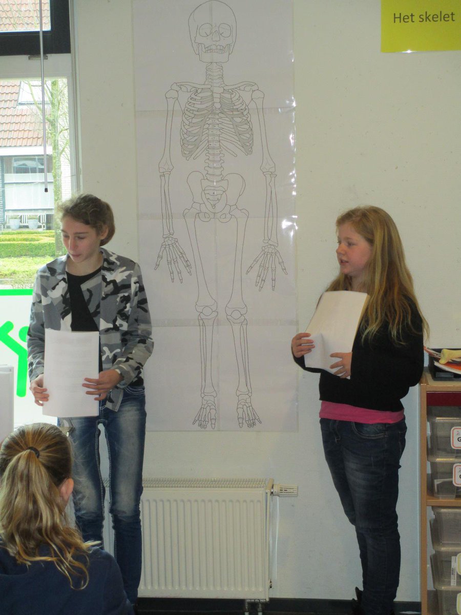 Leuke presentaties als afsluiting van project "HET SKELET" in groep 7 en 8. <a href="/VierKeerWijzer/">Marco Bastmeijer</a> . #talentontwikkeling.
