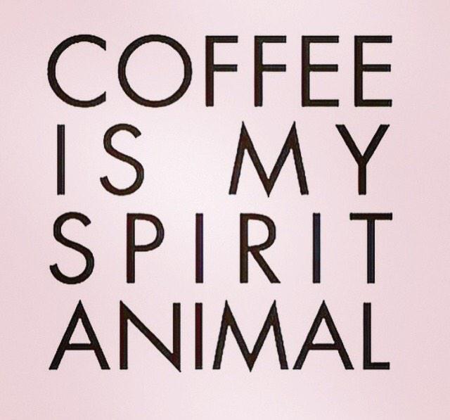 thesleepdiva's tweet photo. Good morning, hope you all have a great Friday! #TGIF #Coffee #SuiteSleep #Boulder http://t.co/9Kilp9ZWSA