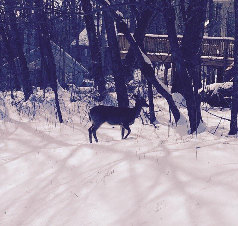 At wintergreen resort.. #wintergreenresort <a href="/weplay1717/">barbara mealey</a>