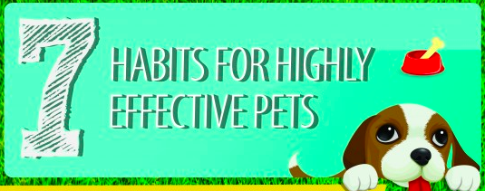 tracyr1981's tweet photo. http://t.co/STBeSxCXOV #effectivepets #petservice http://t.co/bVhswhLAgq