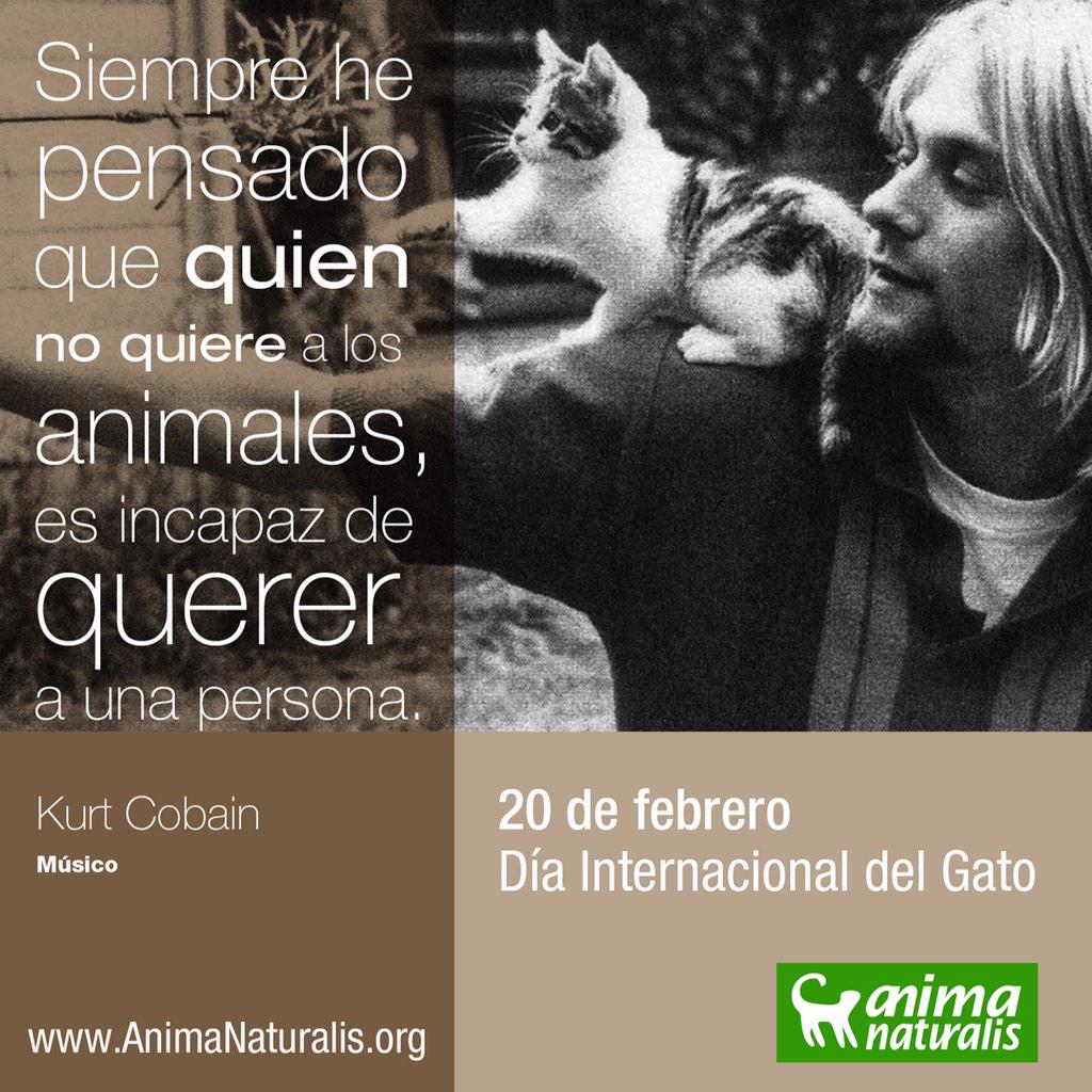 AnimaNaturalis's tweet photo. Hoy es el Día Internacional del Gato. RT si tienes un amigo felino :) #Gatos #DiaDelGato http://t.co/YSJTdxDl5O
