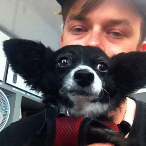 FrannyDeWood's tweet photo. It's #LoveYourPetDay??? @danedehaan @annawoodyall I'm expecting a whole lot of cuddles and treats then! LOVE YOU XXXX http://t.co/M4V5qHnbSN