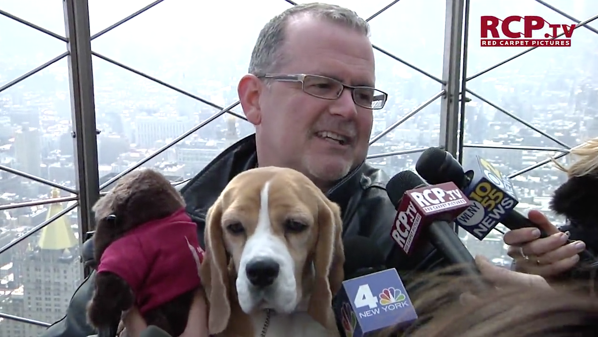 RedCarpetPics's tweet photo. #Video | @WKCDOGS' Best In Show Winner Lights World Famous @EmpireStateBldg | Watch Here: http://t.co/mENkcifnqh http://t.co/SNt0MSyVQl