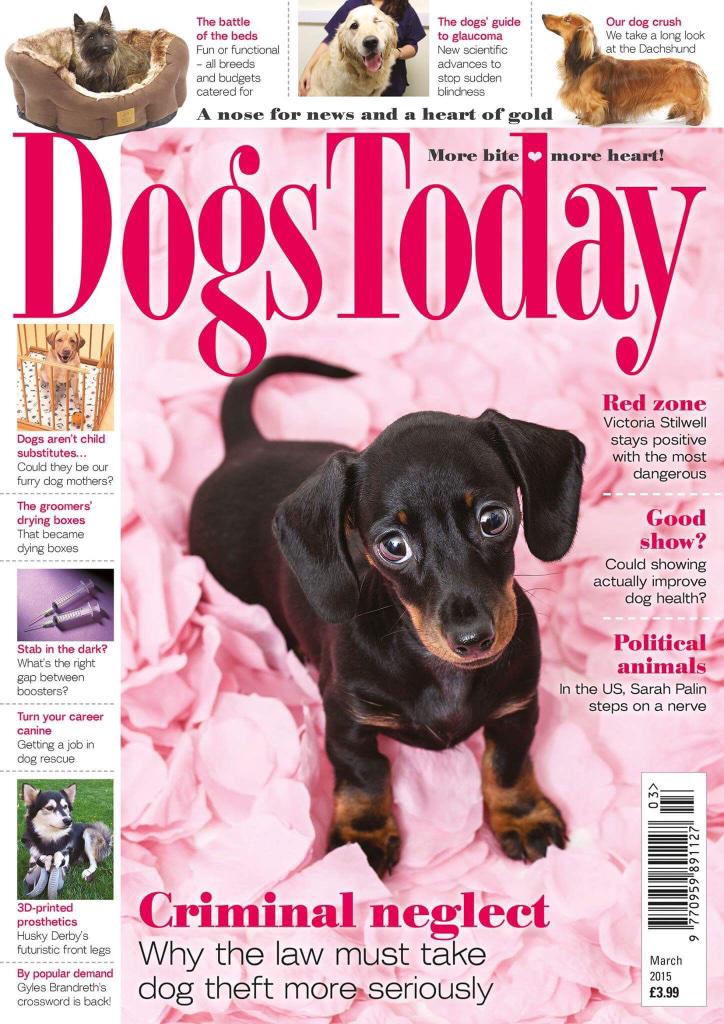 We are thrilled to be featured in @Dogs_Today 
#BespokeLiving for your pet 
chikipaws.com 
#KPRS