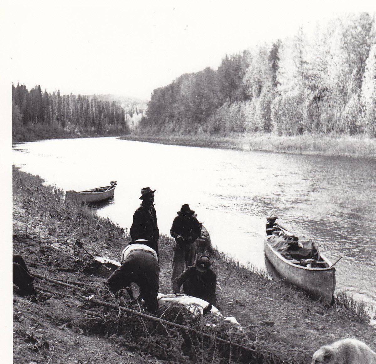 FNFNLands's tweet photo. Skinning a moose

Do you know the story behind this photo or the people in it? How about where and when it was taken? http://t.co/NzK9j0nFJI