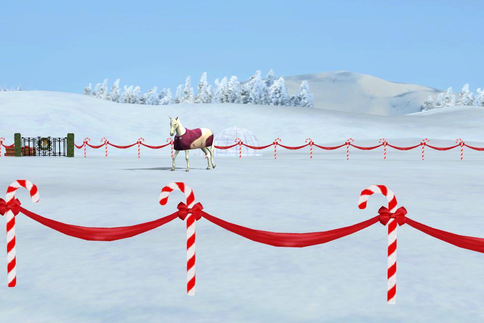 Frency1980's tweet image. Ameliaziveri              Emmauffihffgh        Htfhi# nmgam.es/horse_twitter