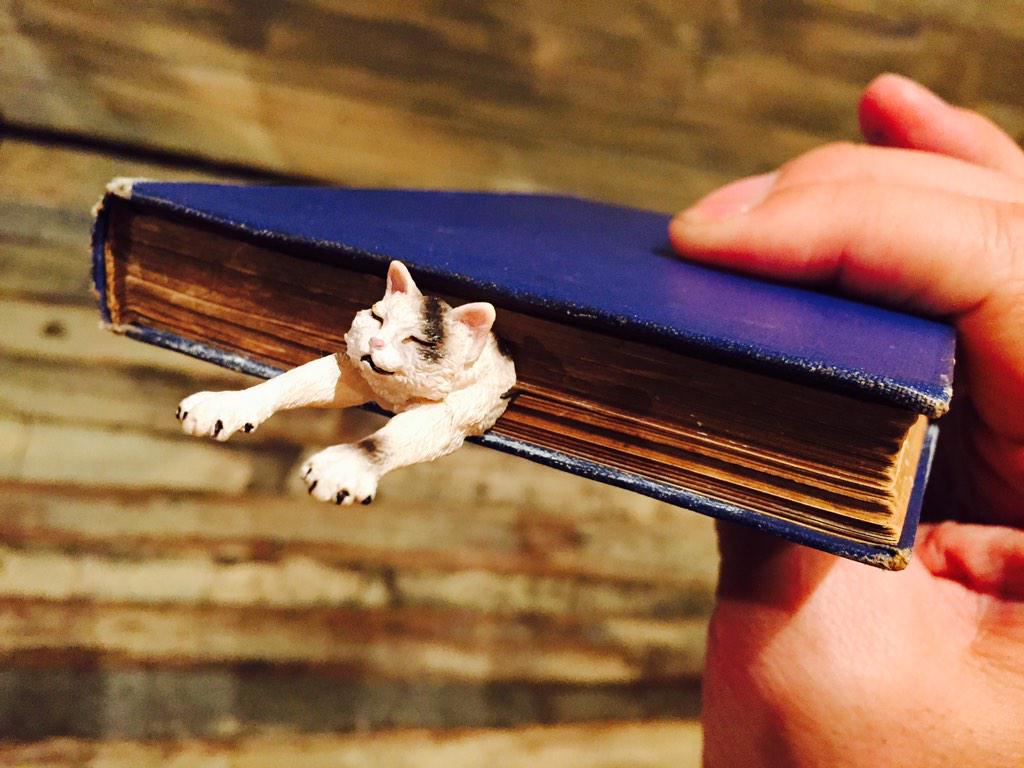 猫がはさまったしおり』カフェ・ギャラリーが開発中のほっこり 