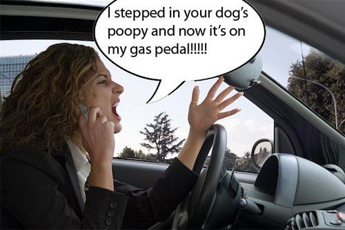 barkplus's tweet photo. Just another reason to #PickUpThatPOO @PickUpThatPoop @thefifthpaw http://t.co/BjrbMnUIp2