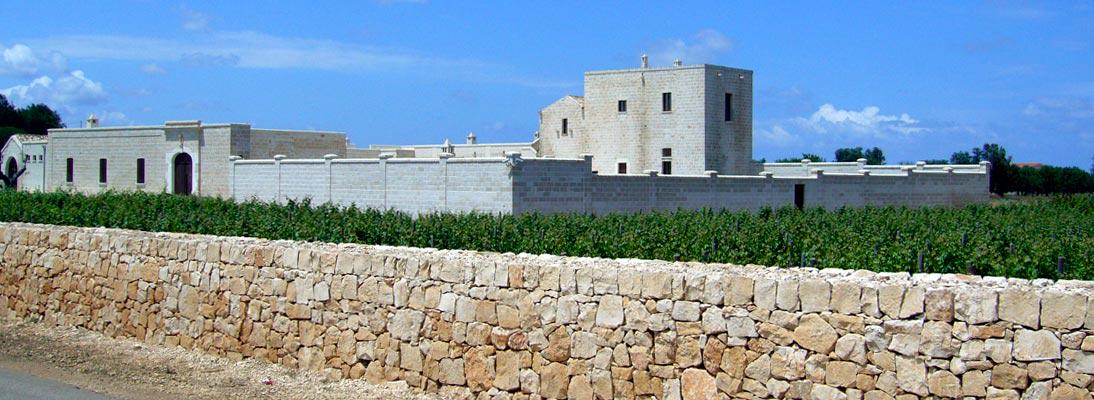 Sul nuovo sito #Carvinea potete conoscere: azienda, territorio e riconoscimenti ricevuti

carvinea.com/azienda/