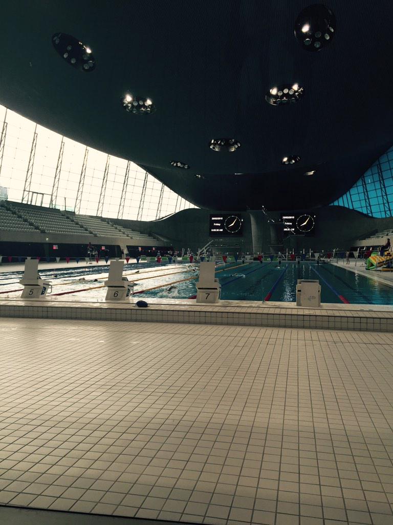 caroline tweet media