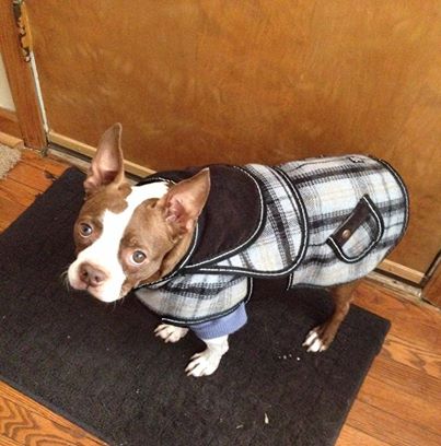 Happy National #LoveYourPetDay!