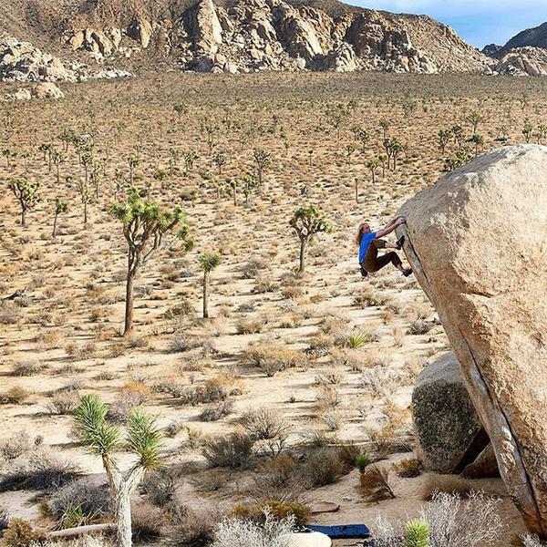 One of the most iconic boulders in #JoshuaTree, CA. Tribesman Dave Meyers on White Rastafarian. #hippytreetribe