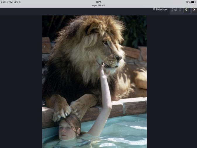 TuttoParioli's tweet image. Gli uomini reagiscono al silenzio e non alle lagne...#controllo #stepinlove #pillolediafrodite  by pbonaca