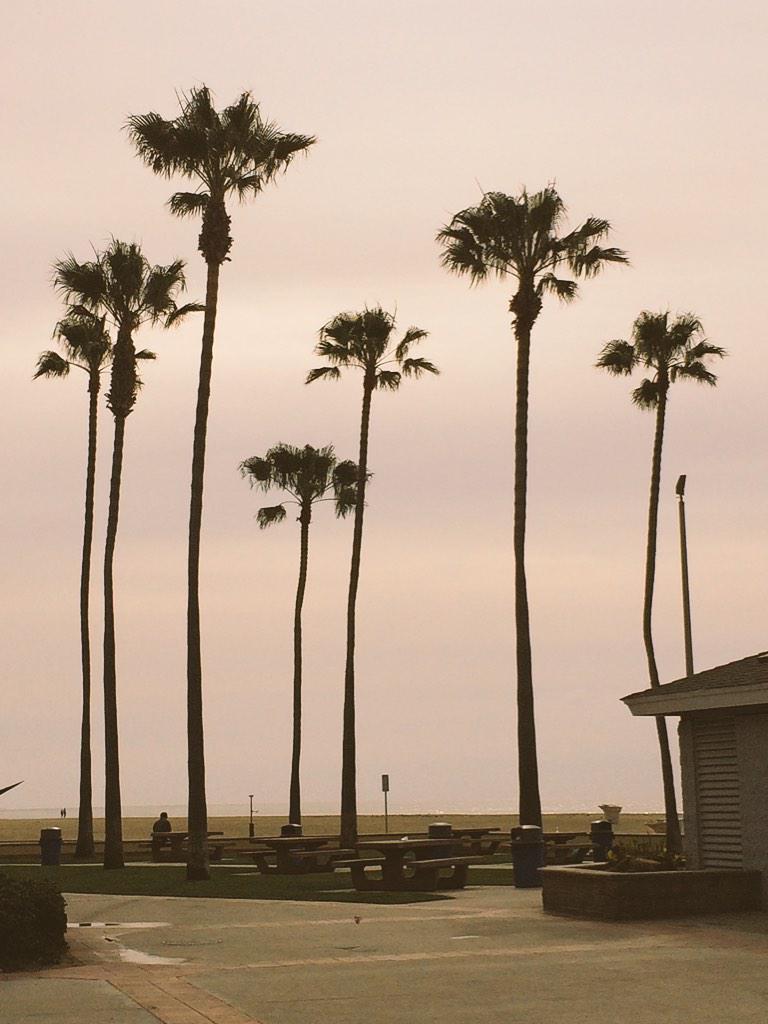 7twelveteam's tweet photo. Today's office. Morning appointments.
#SocialMediaMarketing #getcontent #orangecounty #newportbeach #7twelve #bereal http://t.co/9V5h0uyoFC