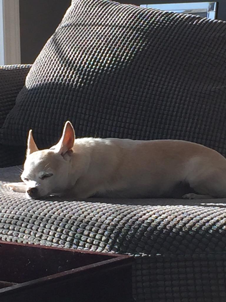 Jason Cline tweet media