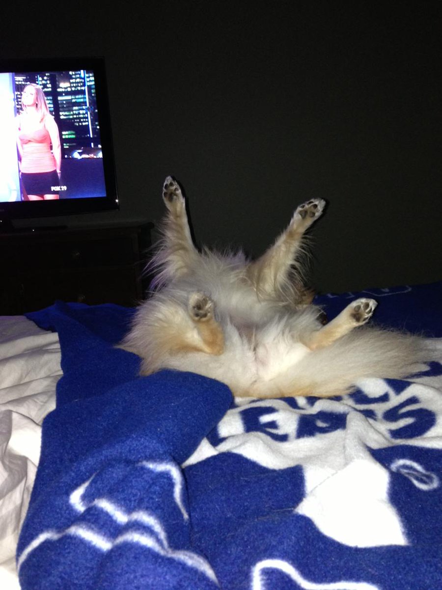 Peter DiFranco (@difrancop) on Twitter photo 