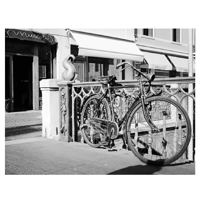 Bici A Scatto Fisso Bici Singlespeed E Vintage Biascagne Cicli
