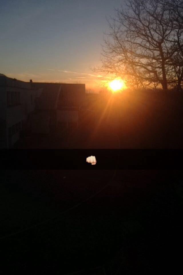 CocoChatoon's tweet photo. #perfect http://t.co/pduKn5KxM0