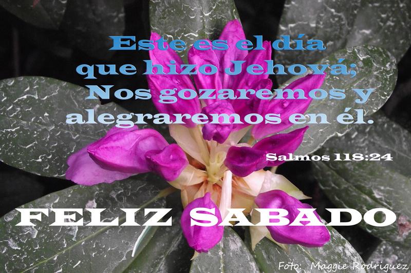 ismaelmarriaga's tweet photo. #FelizSabadoColombiaQuerida y #SabadoPaDescansar @subecielo7 http://t.co/IEJA2w742u