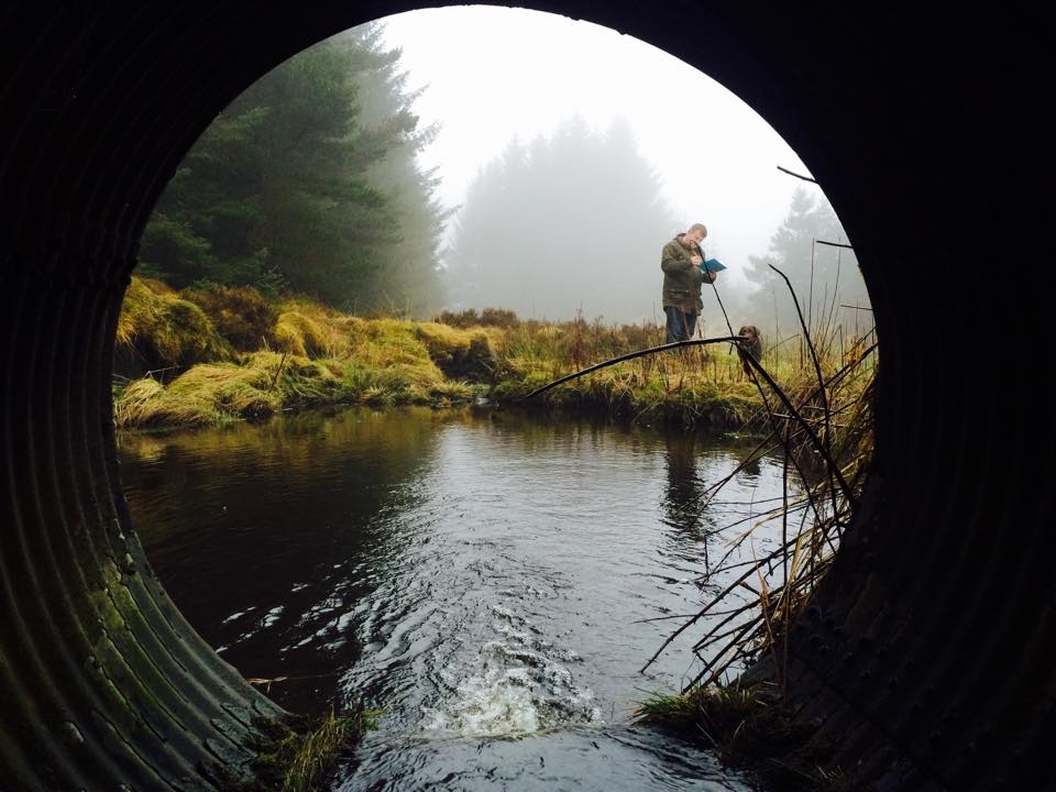 Fishinguide Scotland tweet media