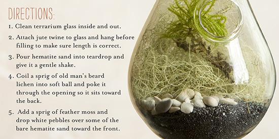 Create your own mini-rainforest at home
Timber Press | buff.ly/1DnLozS
#craft