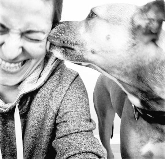 ms_essemm's tweet photo. My precious Ellie girl #LoveYourPetDay @ottawahumane http://t.co/qyRUlVcwLk