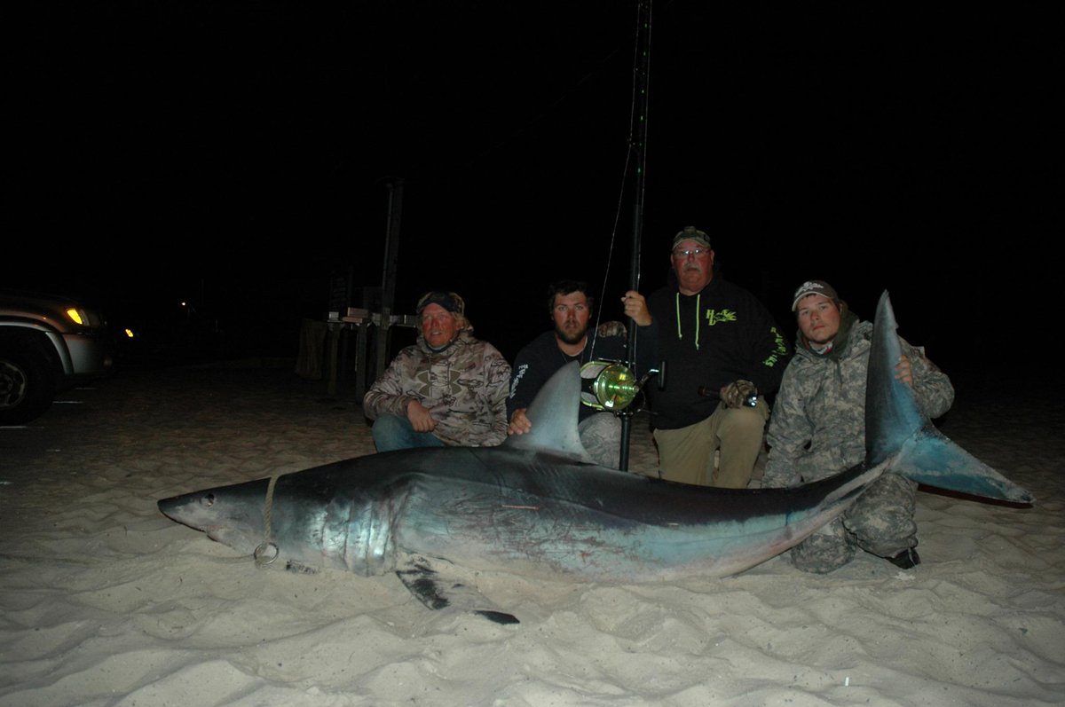 BIG CATCH: Shark fisherman Joey Polk landed a 10-foot 9-inch Mako shark
