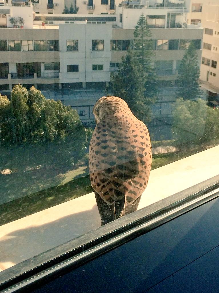 Το οτι ζούμε στη νύχτα δεν σημαίνει οτι δεν αγαπάμε το φως!