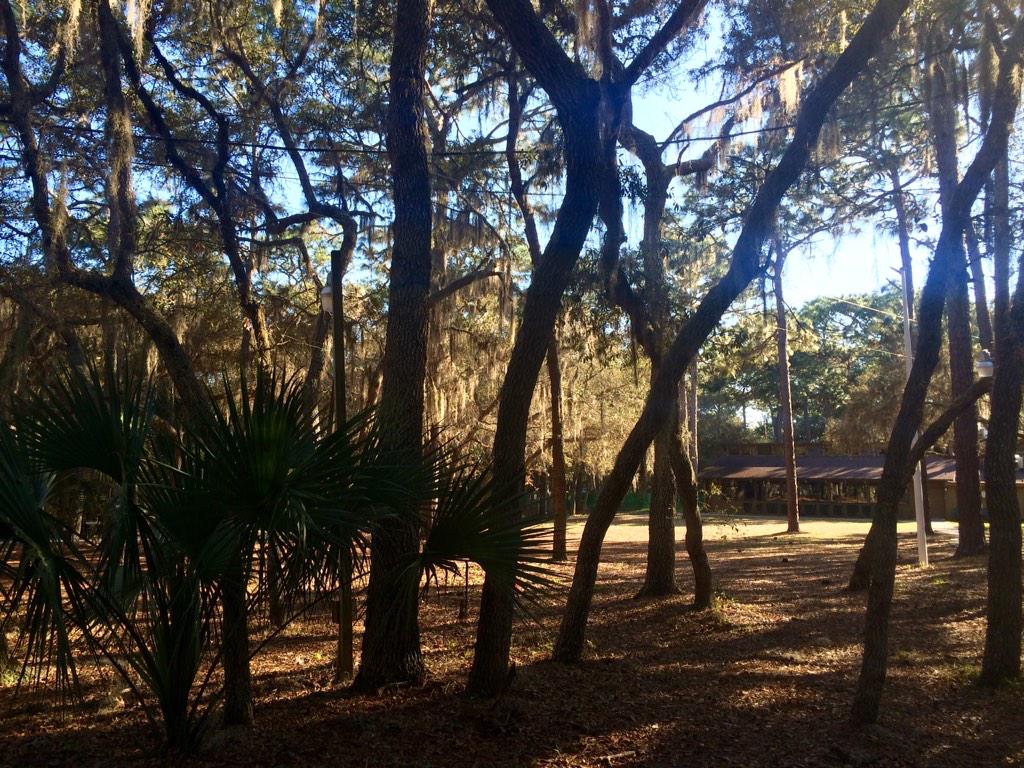 Excited to get this RTT/Ability Weekend started at Camp Thunderbird in Apopka, FL! <a href="/AbilityEXP/">The Ability Experience</a> #QuestsCampThunderbird