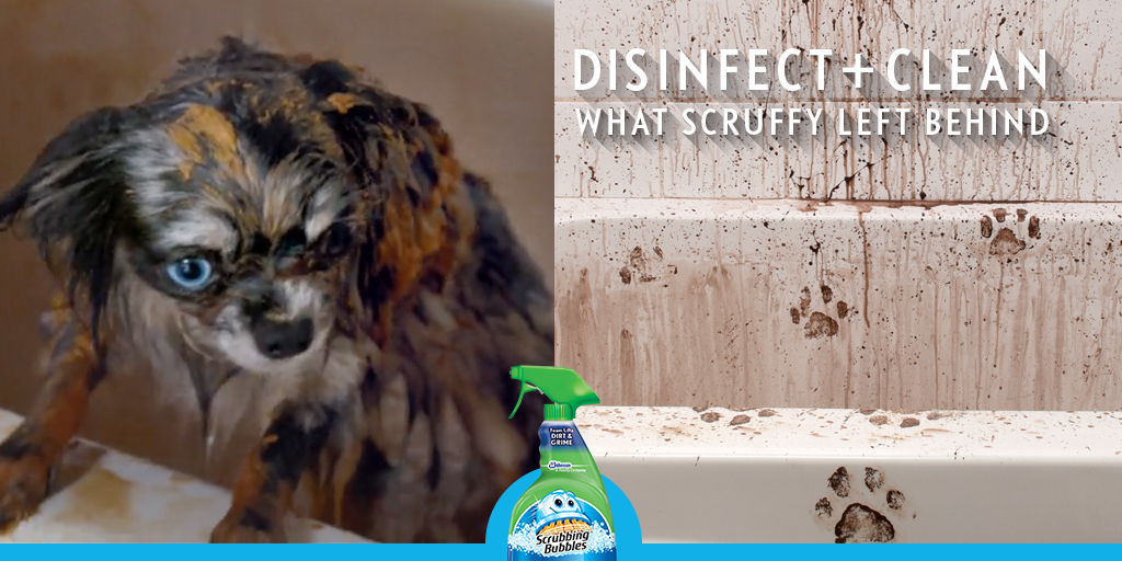 ScrubbingBubble's tweet photo. Good dog. Bad mess. Scrubbing Bubbles Disinfectant Cleaners kill germs + clean up dirty dog baths. #CompleteClean http://t.co/Q1L6O7v5ff