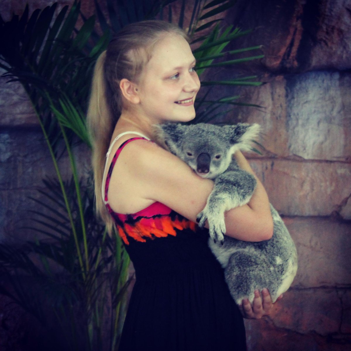 LisaSundlov tweet picture