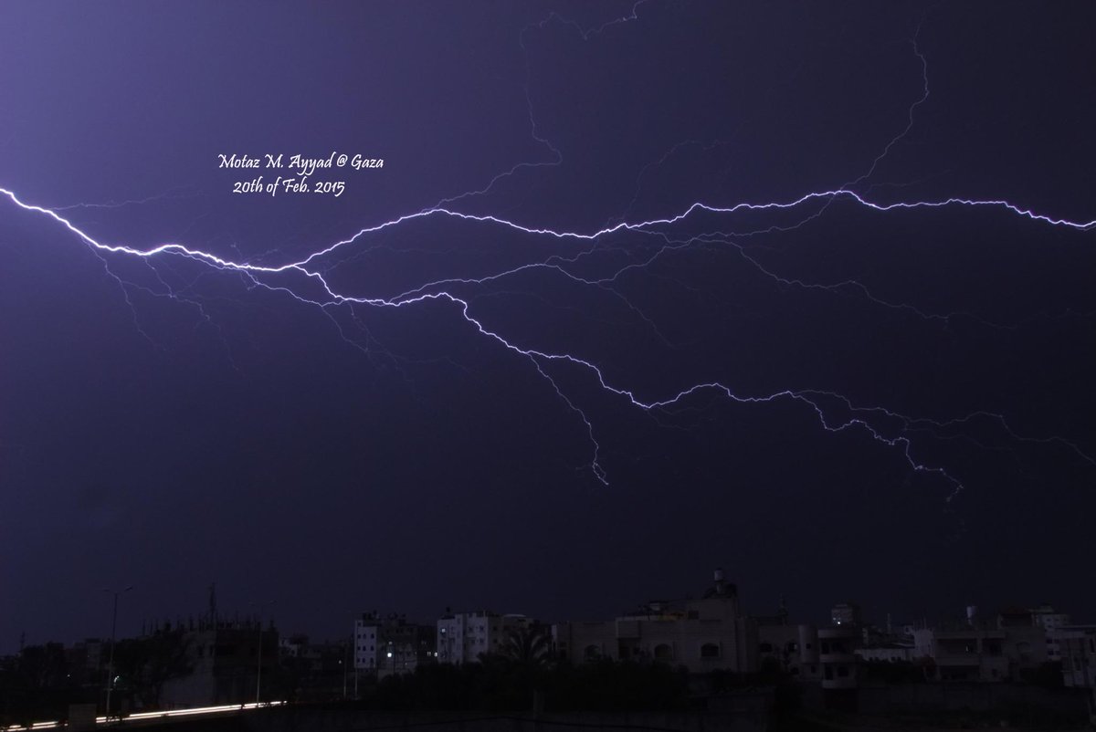 Nehal Jehad Jehadnehal Twitter