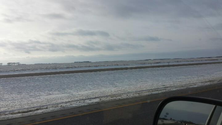 AdventureWithJT's tweet image. When your on 29 in north dakota and look west those trees on the horizon are in Montana #notreally #nothinghere