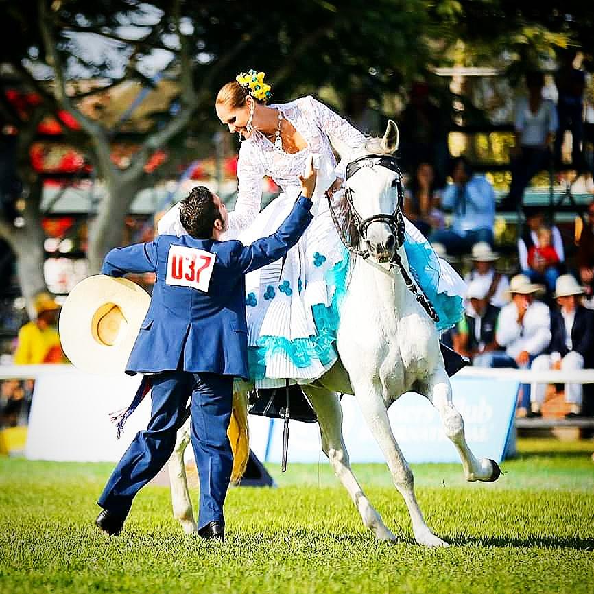 OsPando's tweet photo. #VisitPeru
#PeruvianFolklore #PeruvianTradition #PeruvianPasoHorse #Tourism #lp #TravelSkills #TravelTips #HorseLover http://t.co/JIRfwepCyg