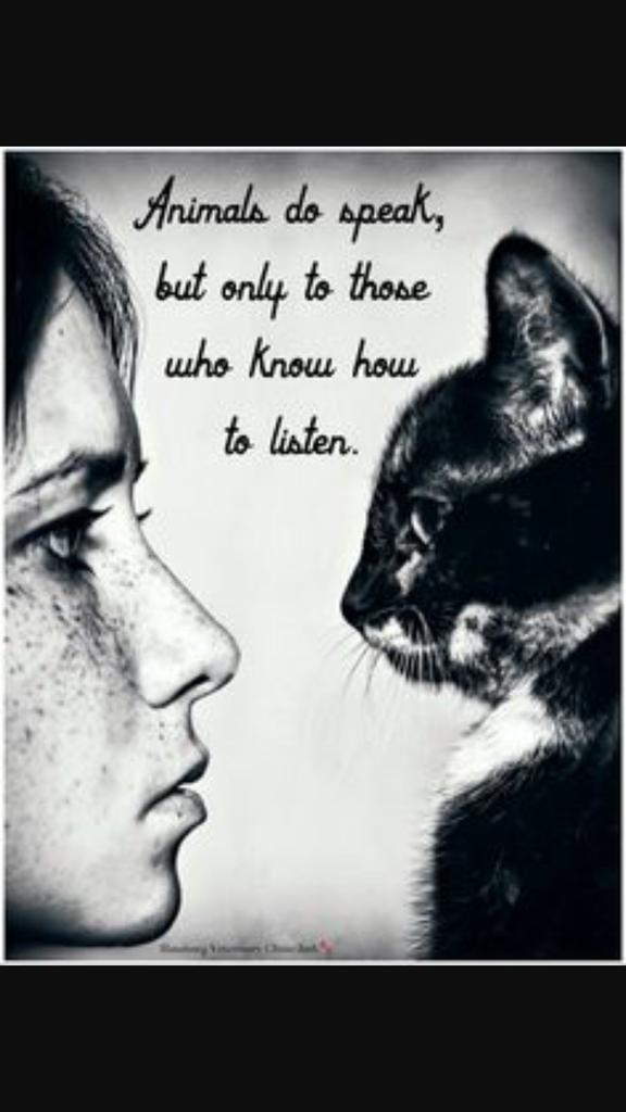 Protectanimals_'s tweet photo. RT if you agree!! 💓 @Protect_Wldlife  @AnimalPlanet http://t.co/pi4ldKPfkO