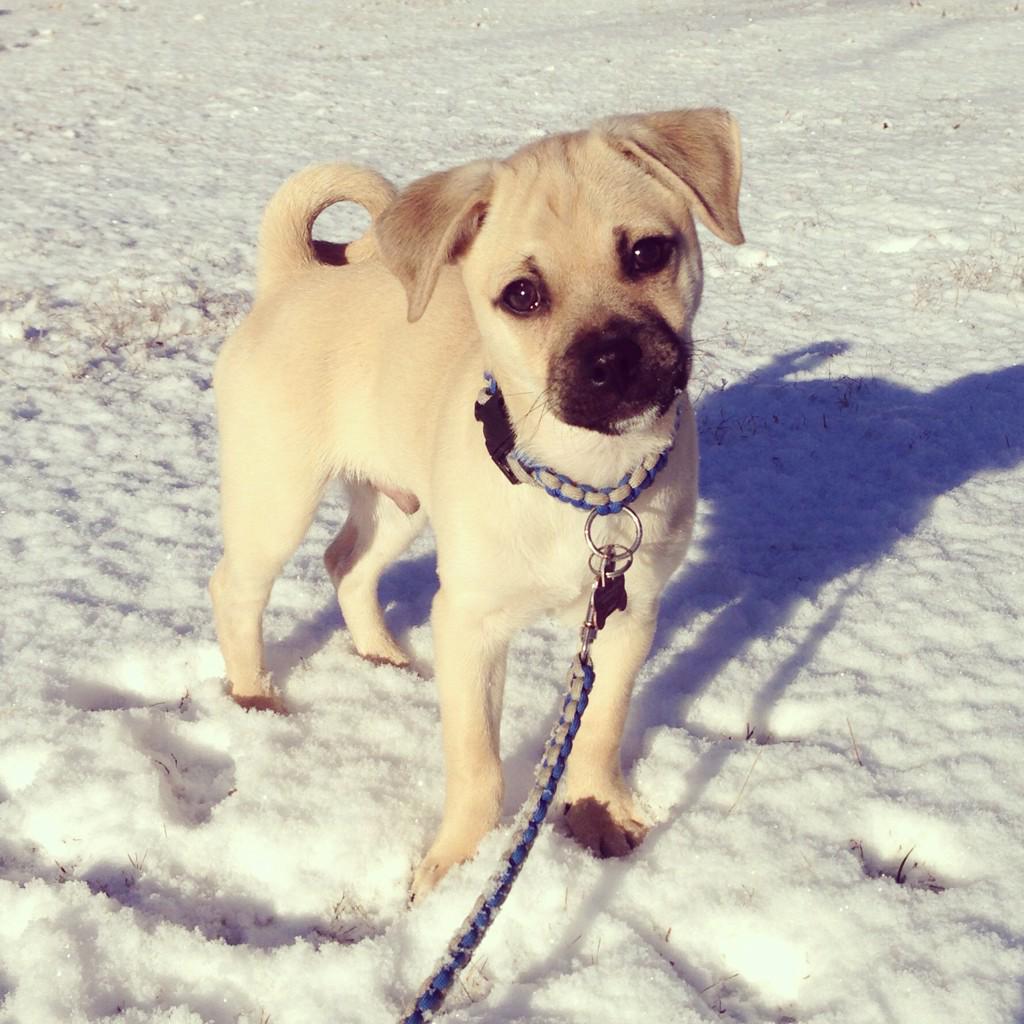 hillary_dean's tweet photo. We love our Charlie Boy! #beon11 http://t.co/Hue3zwRXjx