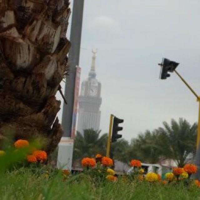 الدب الباندا (@talalsvmsung992) on Twitter photo 