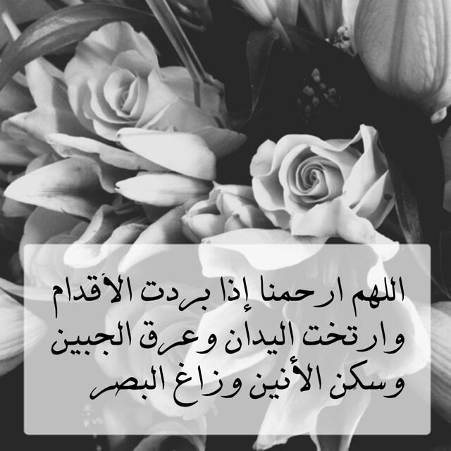 noor (@noormamn) on Twitter photo 