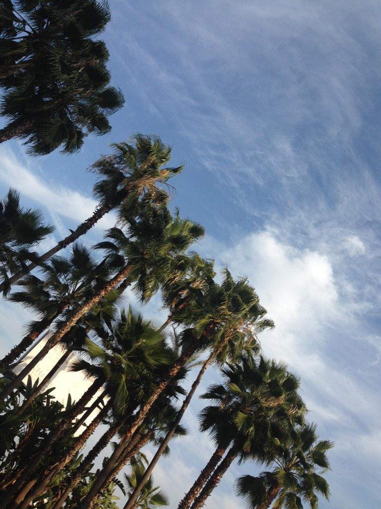 TheEquCurr's tweet photo. Prepping for tomorrow! #theequalcurriculum at the Innovations in Medical Education Conference in sunny LA, CA! http://t.co/3kbqzCbzb6