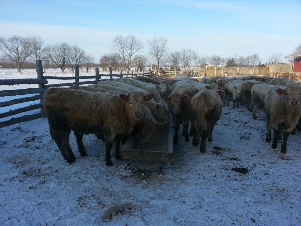 Grandview Farms tweet media